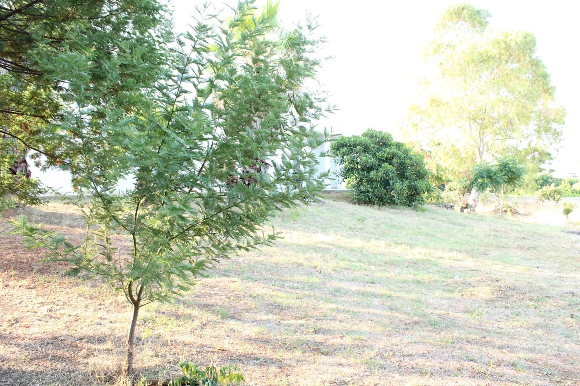 Boat Dreams , Garden Relax Apartamento Matino Exterior foto