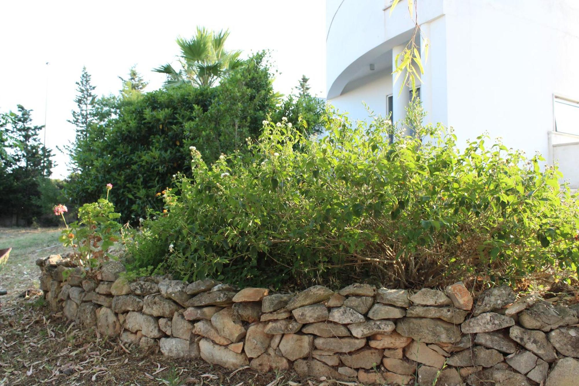 Boat Dreams , Garden Relax Apartamento Matino Exterior foto
